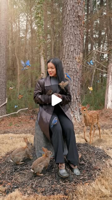 Realtor sitting in a forest surrounded by deer, rabbits and birds